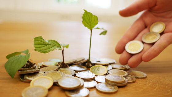 Smart Ways to Save for Big Purchases or Investments 1 Smart Investment Choices